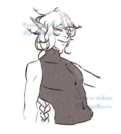 Portrait sketch lines only